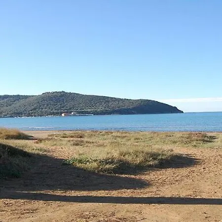 Rinsacca